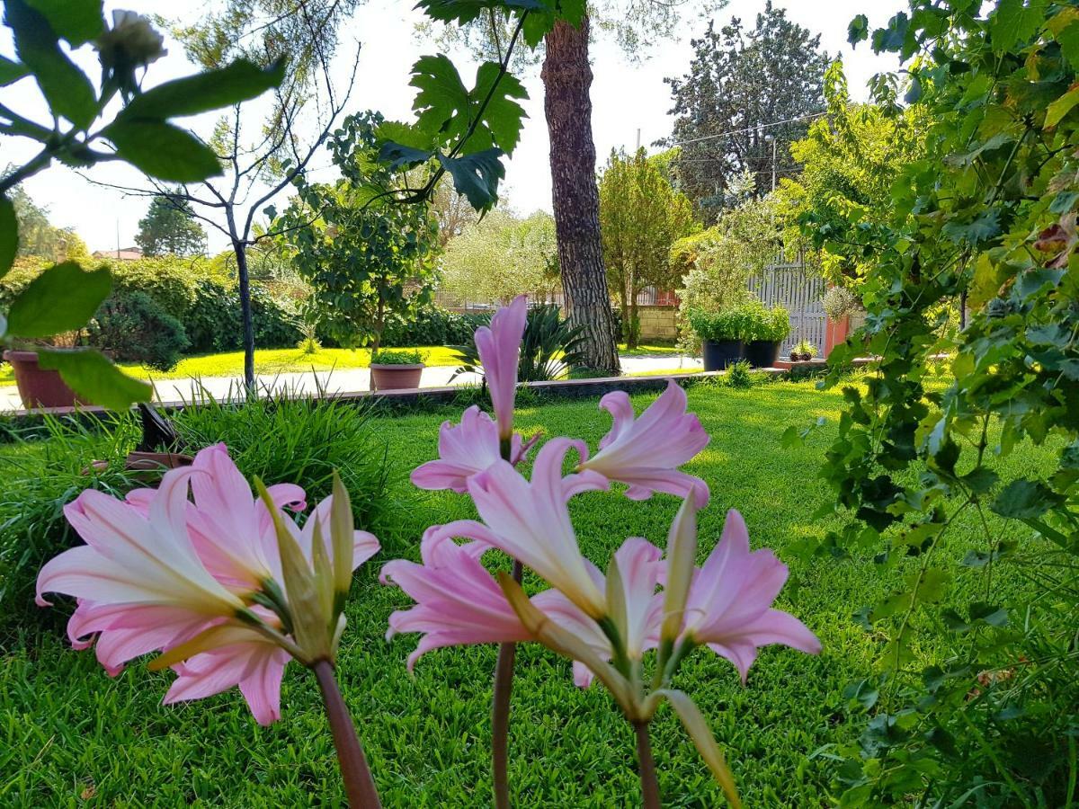 B&B Welcome Pedara Kültér fotó